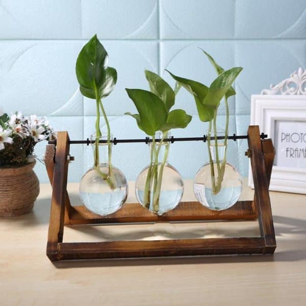 Terrarium En Verre En Forme De Cœur Sur Support Bois – Mini Jardin Hydroponique De Bureau – Décoration Plantes Et Fleurs