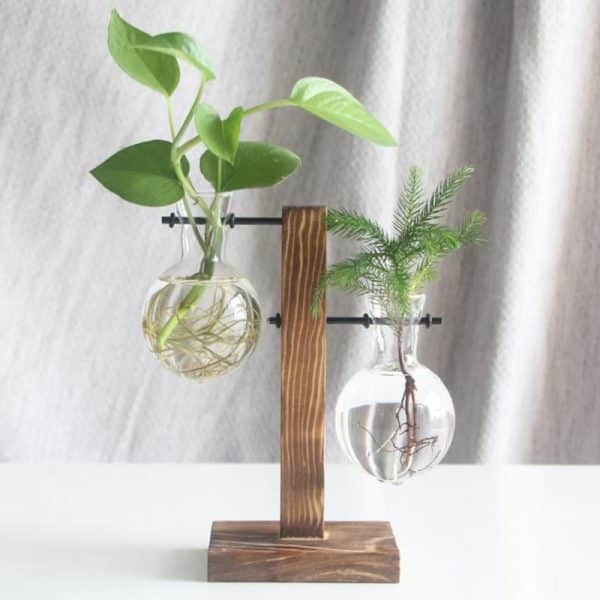 Vase en verre Transparent pour plantes hydroponiques, Terrarium, bonsaï, Pot de fleurs avec plateau en bois, décoration de la maison