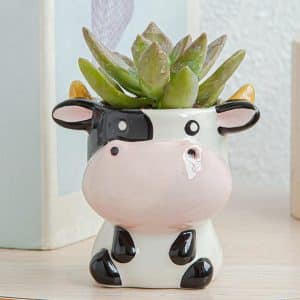 Kawaii – Mini Pot de fleurs en céramique, plantes succulentes, dessin animé raton laveur mouton vache, bonsaï