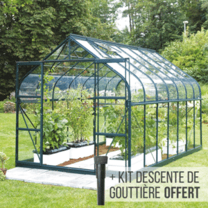 Serre en Verre Aloé 11,3m²