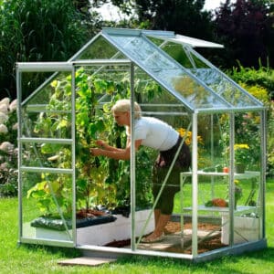Serre en Verre Pas Cher Allium 2,5m²